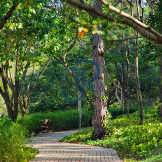 Terreno a venda direto com a Incorporadora no Residencial Terras de Sao Jose 2 em Itu/SP
