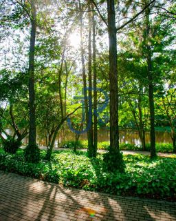 Terreno a venda direto com a Incorporadora no Residencial Terras de Sao Jose 2 em Itu/SP