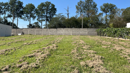 Lote / Terreno de Bairro Para Vender no bairro Jardim Dacha Sorocaba em Sorocaba