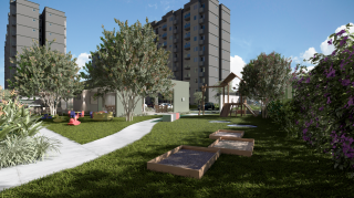 Aurora dos Pássaros