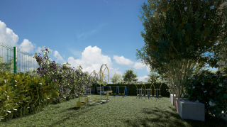 Aurora dos Pássaros