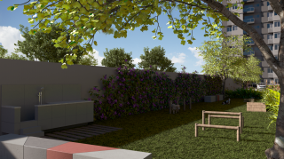 Aurora dos Pássaros