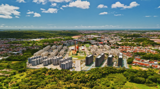 Aurora dos Pássaros