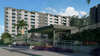 Aurora dos Pássaros