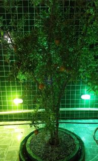 CASA SOLTA COM 3 QTOS E PISCINA, EM ITAMARACÁ!