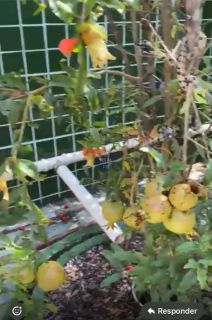 CASA SOLTA COM 3 QTOS E PISCINA, EM ITAMARACÁ!