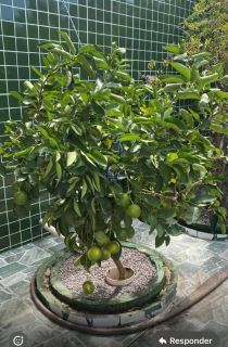 CASA SOLTA COM 3 QTOS E PISCINA, EM ITAMARACÁ!