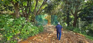 Oportunidade Única: Terreno Estratégico de aprox. 9.500 m² com Potencial para Grandes Projetos em Jaboatão dos Guararapes