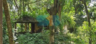 Oportunidade Única: Terreno Estratégico de aprox. 9.500 m² com Potencial para Grandes Projetos em Jaboatão dos Guararapes