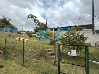 Apartamento Para Vender com 2 quartos no bairro de Alberto Maia em Camaragibe