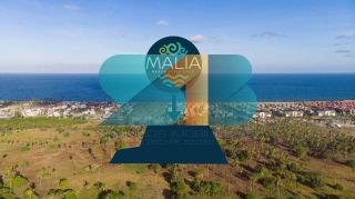 Malia Beach Experience | Muro Alto