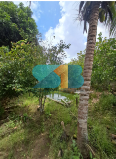 Excelente Casa em Aldeia com 03 quartos com piscina .