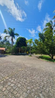 Sítio Para Vender em Tamandaré
