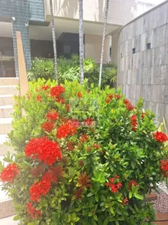 Imóvel para venda possui 94 metros quadrados com 3 quartos em Boa Viagem - Recife - PE