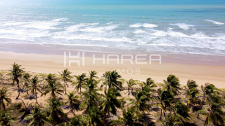 Oásis Beach Residence