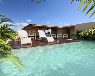 Uaná Tatuamunha by Housi