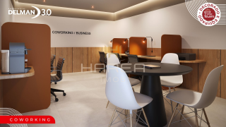 Delman Empresarial 3.0