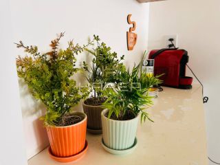 3 quartos 1 suíte  I 64m²  I Lazer completo I São Jorge I  02 vagas carro