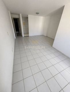 Edf New Life - 3 quartos - Ponta Verde