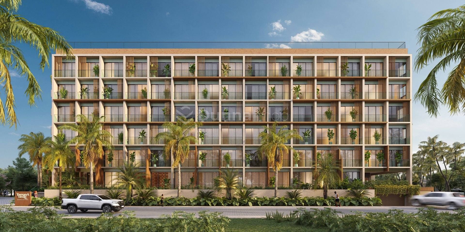 Tamana Breeze - Stúdio