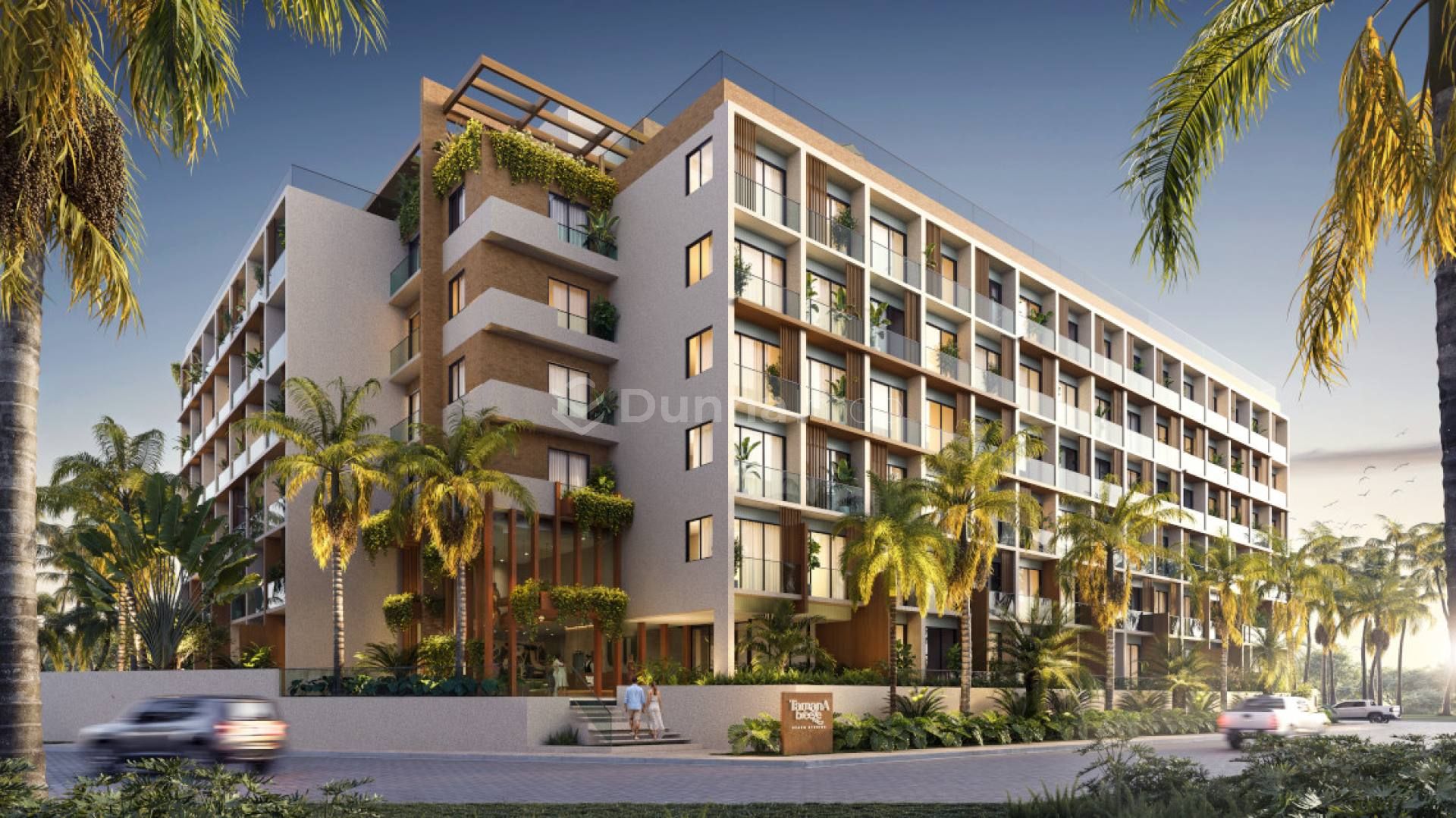 Tamana Breeze - Stúdio