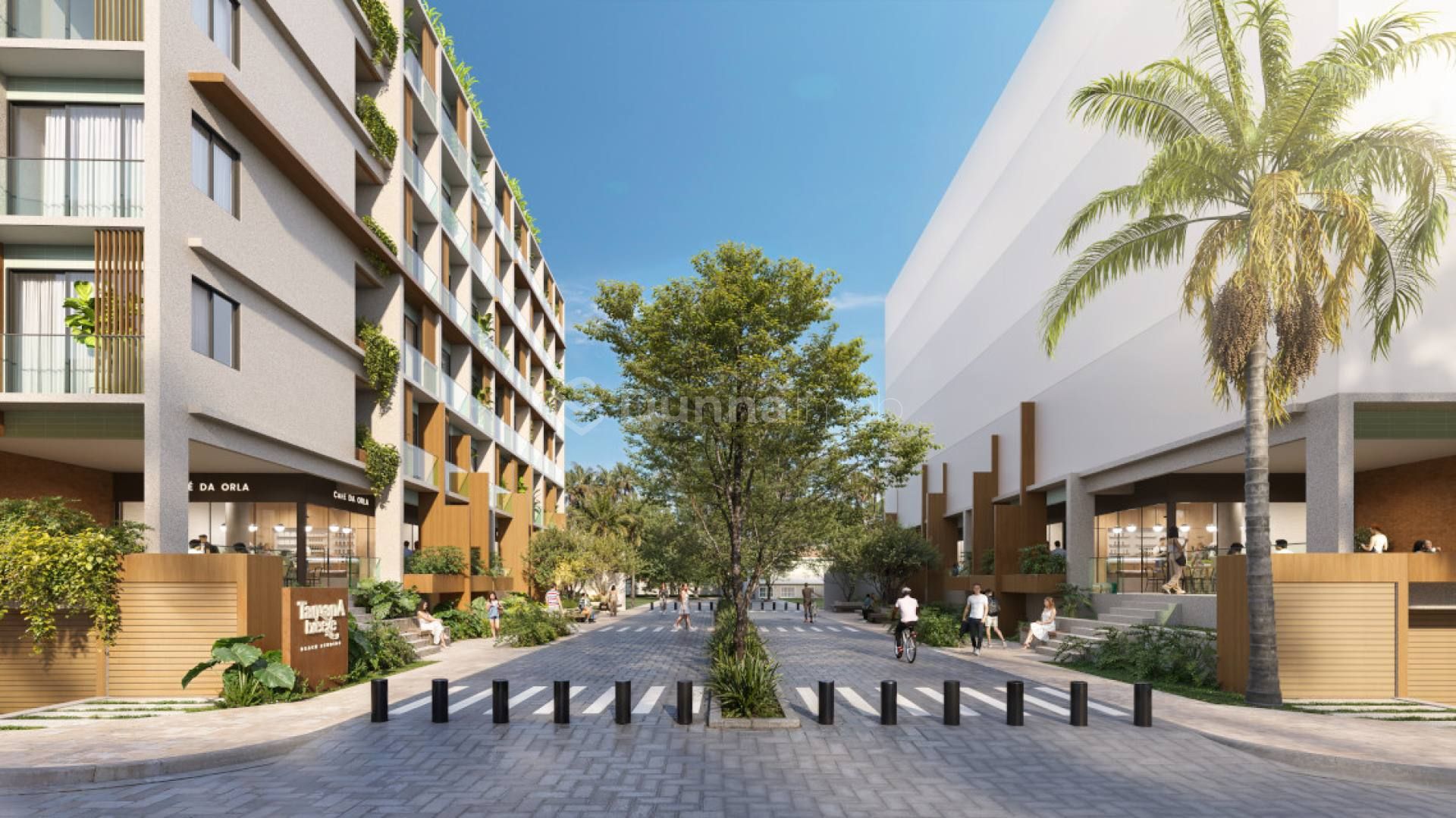 Tamana Breeze - Stúdio