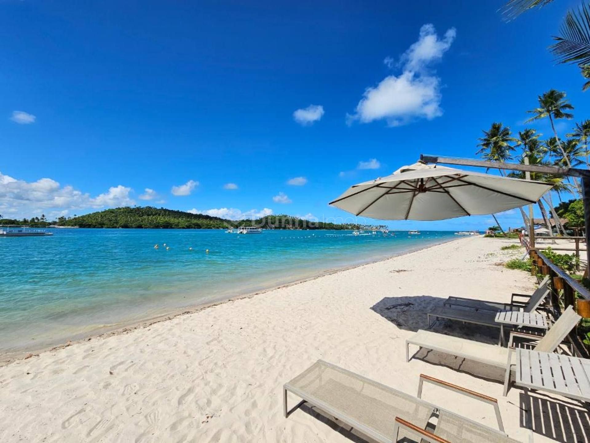 Amura Carneiros - Stúdio