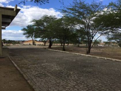 Terreno À Margem Da Rodovia BA-210