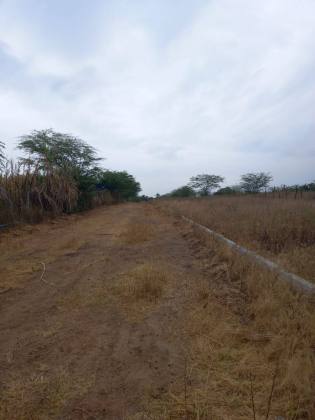 ÁREA NA PEDRA CUMPRIDA