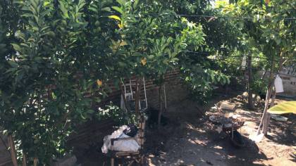 TERRENO NA PERPÉTUO SOCORRO