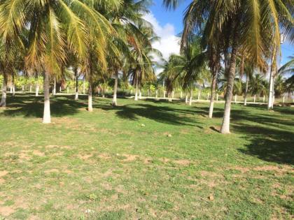 CHACARA BEIRA DE RIO EM GLÓRIA - BA