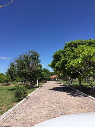CHACARA BEIRA DE RIO EM GLÓRIA - BA