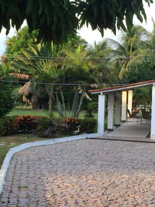 CHACARA BEIRA DE RIO EM GLÓRIA - BA