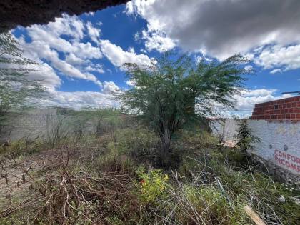 TERRENO PARA VENDA NO CARDEAL BRANDÃO VILELA