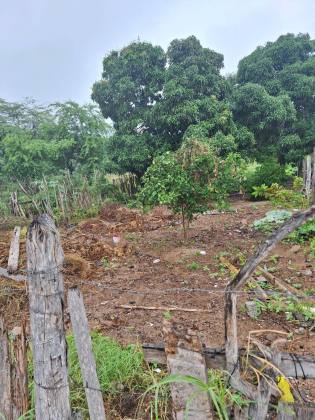 TERRENO À VENDA NO MOXOTÓ-BA