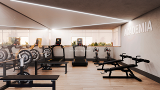 Tamana Beach Studios