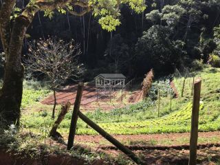 Sitio com 2Ha | Cachoeira e Piscina Natural | Região Serrana Rio | para sua Moradia ou para Pousada Ecológica