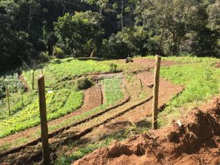 Sitio com 2Ha | Cachoeira e Piscina Natural | Região Serrana Rio | para sua Moradia ou para Pousada Ecológica
