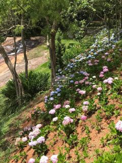 Sitio com 2Ha | Cachoeira e Piscina Natural | Região Serrana Rio | para sua Moradia ou para Pousada Ecológica