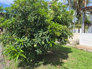 Casa a venda em Condomínio | 7 quartos 3 suítes na Praia de Campas em Tamandaré