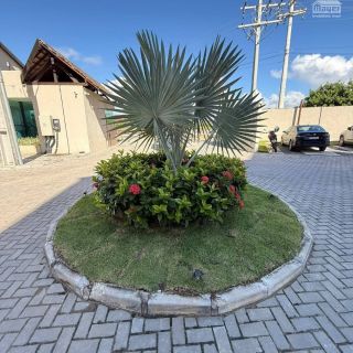 FLAT PRONTO PARA RENTABILIZAR EM CARNEIROS