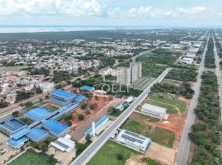 PALMEIRA SERENA 