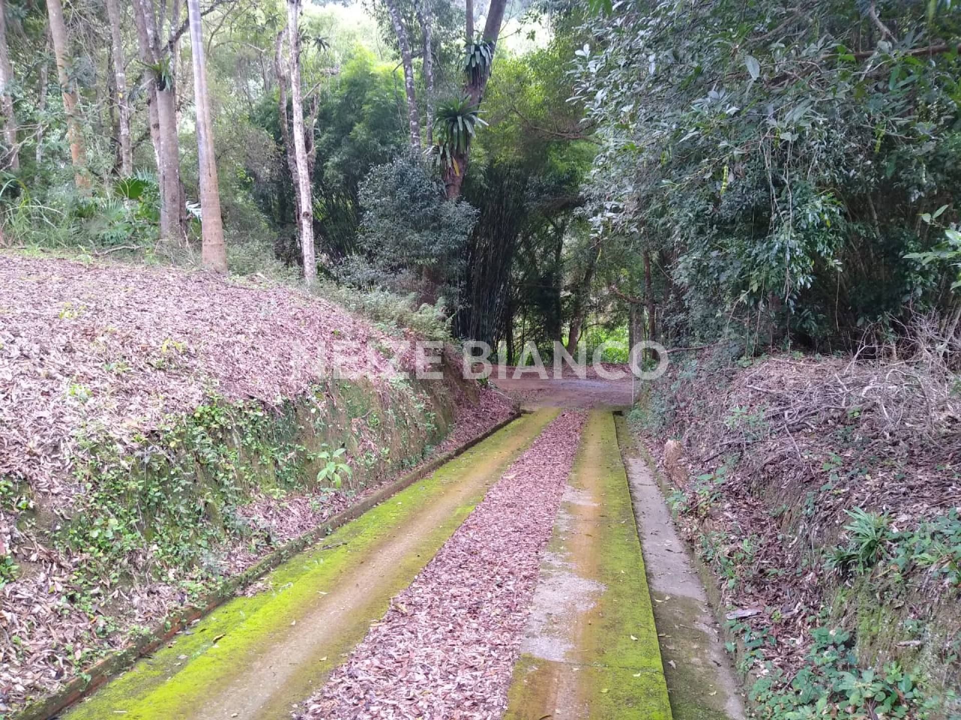 Sítio Para Vender com 3 quartos  em Piedade