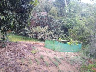 Sítio Para Vender com 3 quartos  em Piedade