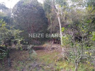 Sítio Para Vender com 3 quartos  em Piedade