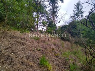 Sítio Para Vender com 3 quartos  em Piedade