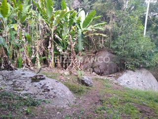 Sítio Para Vender com 3 quartos  em Piedade