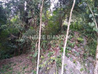 Sítio Para Vender com 3 quartos  em Piedade