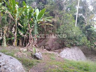 Sítio Para Vender com 3 quartos  em Piedade