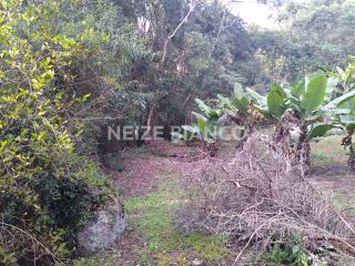 Sítio Para Vender com 3 quartos  em Piedade